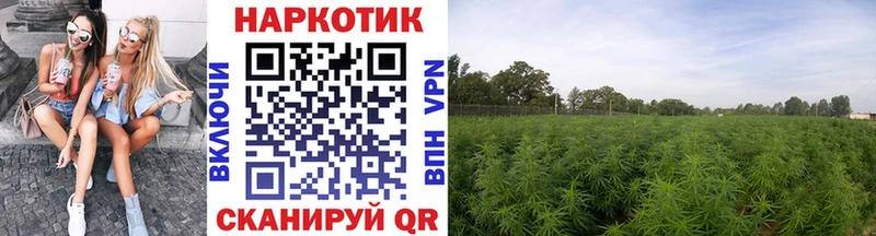 Виды наркоты Черняховск Alpha-PVP Кокаин Меф ГАШИШ