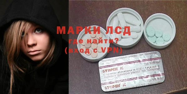 спиды Дубна