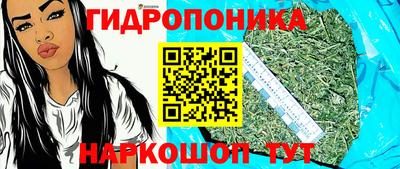 mdpv Новокубанск