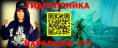 прущие грибы Новодвинск
