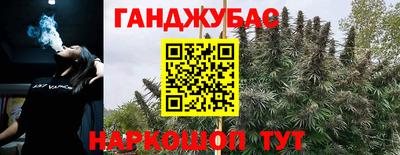 прущие грибы Новодвинск