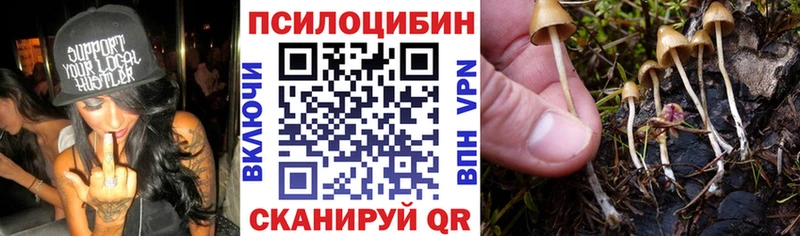 Галлюциногенные грибы прущие грибы  Черняховск 