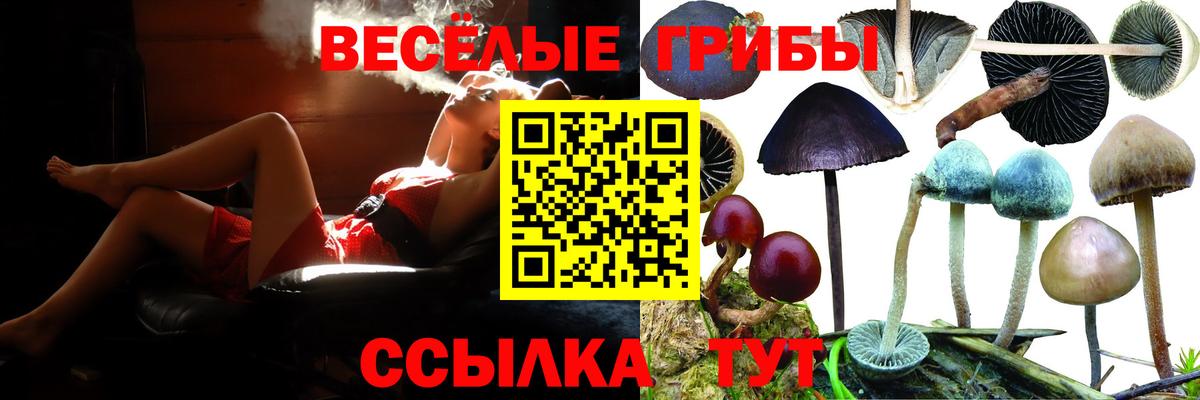 Черняховск  Псилоцибиновые грибы Psilocybine cubensis  Галлюциногенные грибы Psilocybine cubensis  сколько стоит  Вход с VPN 