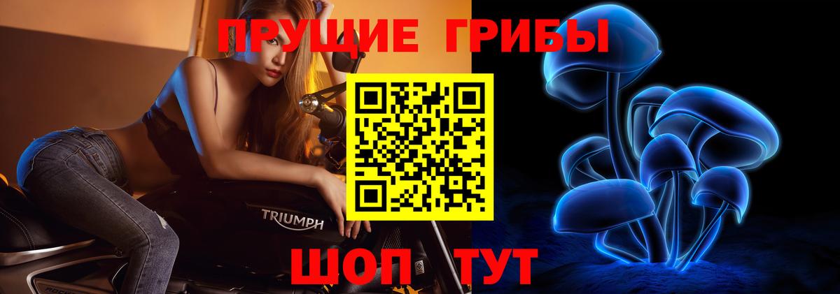 Галлюциногенные грибы мухоморы Черняховск